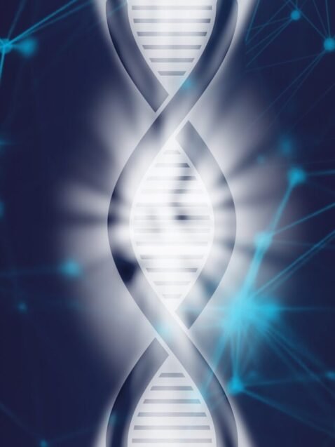 Exploring the Future: The Frontier of Scientific Research in Health Sector