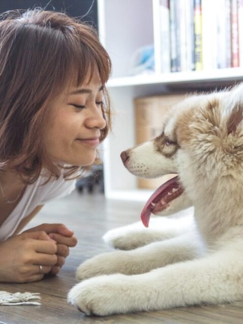 Perfectly Blended Life: Integrating Pets into your Lifestyle