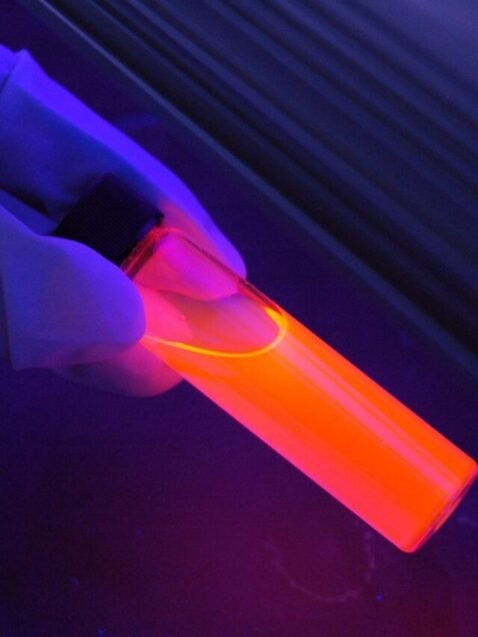 Seizing the Future: Unveiling the Latest Breakthroughs in Biotechnology