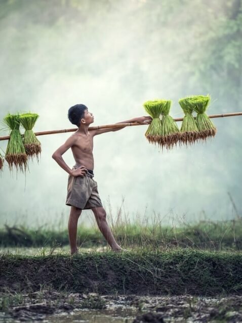 Harnessing Happiness: Cultivating a Lifestyle of Gratitude for Improved Well-being