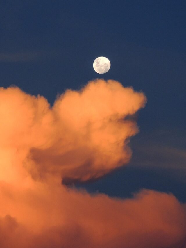 The Far Side of the Moon: A Unique Window to Cosmic Health
