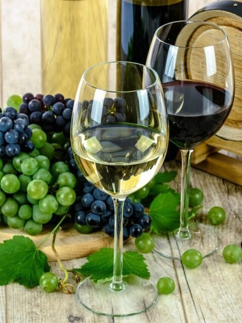 Unleashing the Connoisseur Within: Beginner’s Guide to Wine Tasting